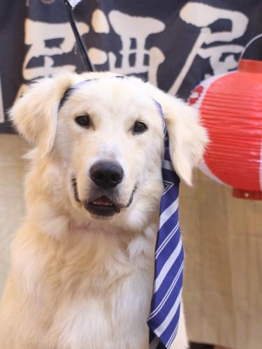 20240612レオくん